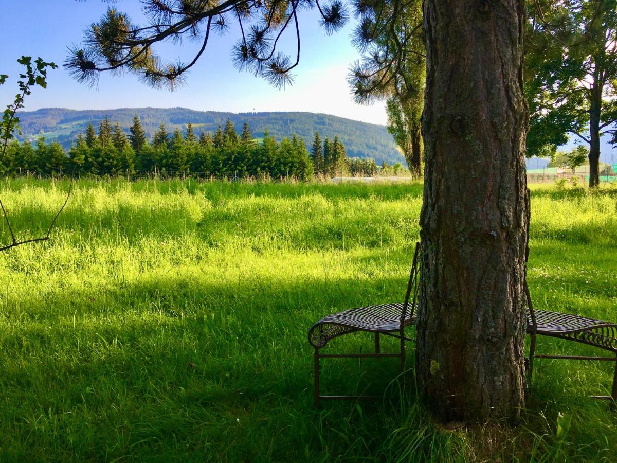 Naturforsthaus Ferienwohnung Fuer Hunde- Und Tierverbundene Menschen Preitenegg Eksteriør bilde