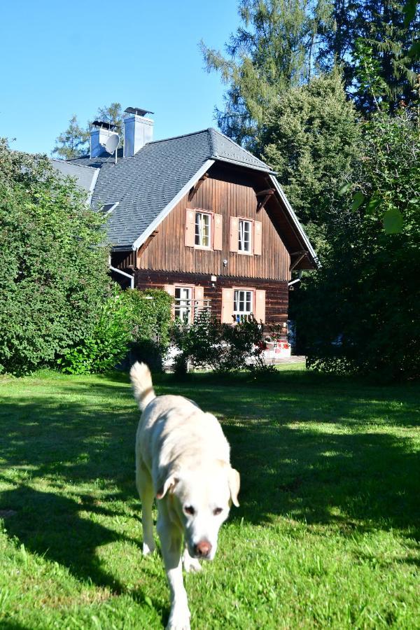 Naturforsthaus Ferienwohnung Fuer Hunde- Und Tierverbundene Menschen Preitenegg Eksteriør bilde